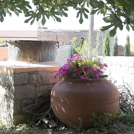 Marianna Mansion Villa Pachna Room photo